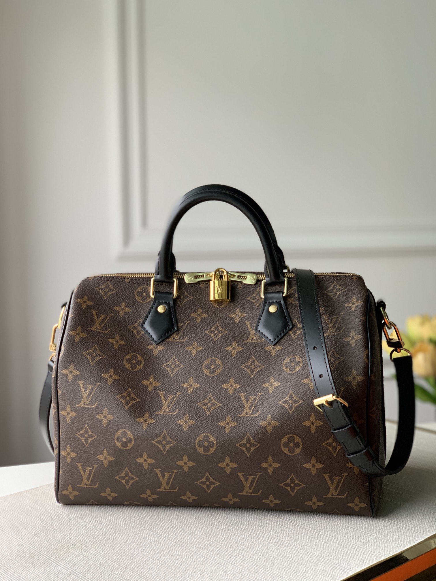 l0*is V*t0n speedy-30x21x17cm