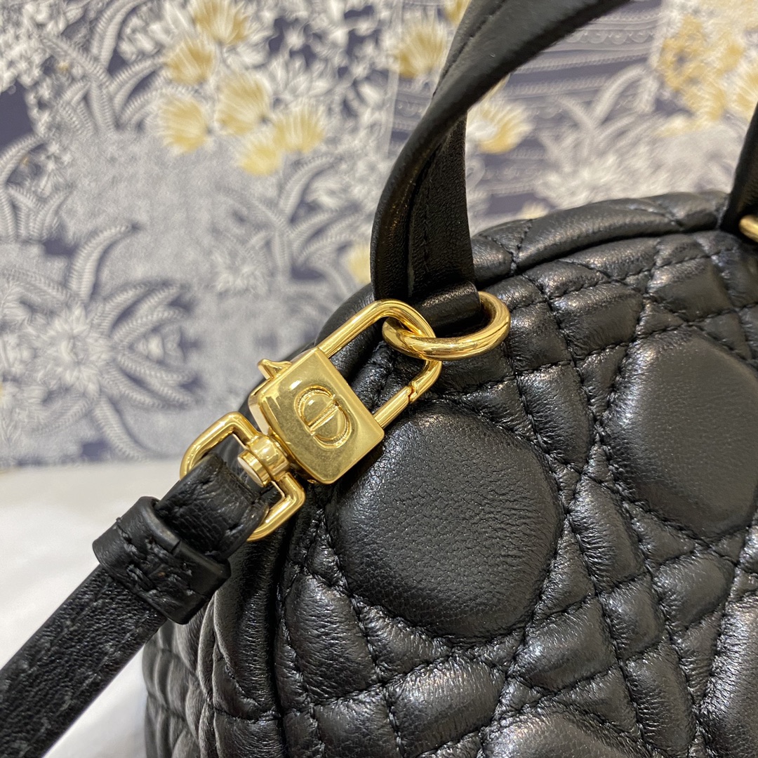 D*or backpack