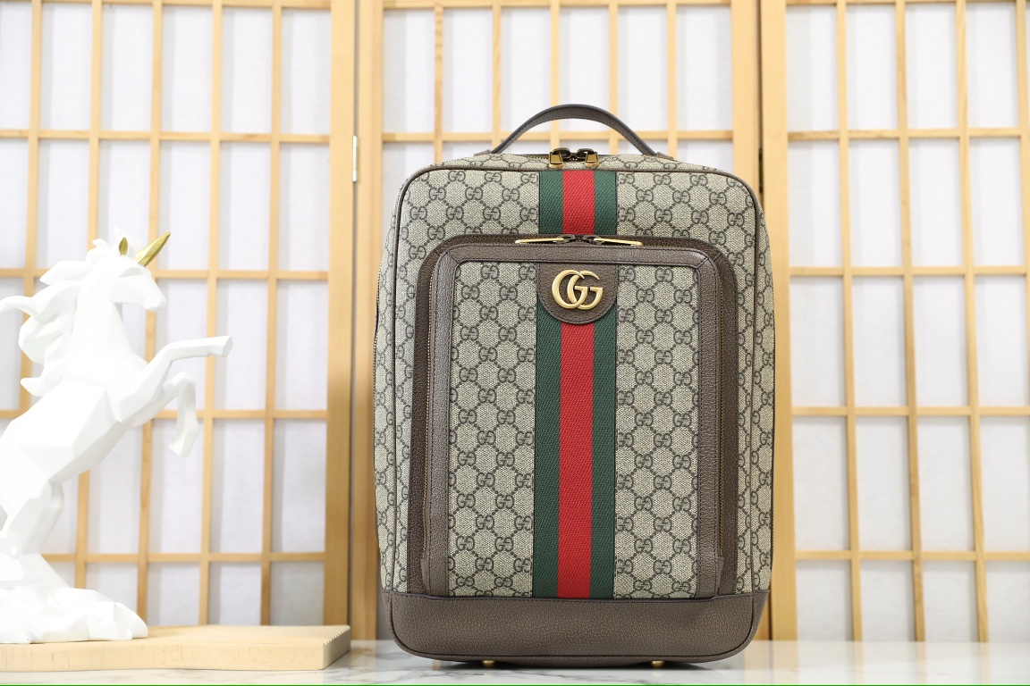G*u*i ophidia backpack-30*40*14cm