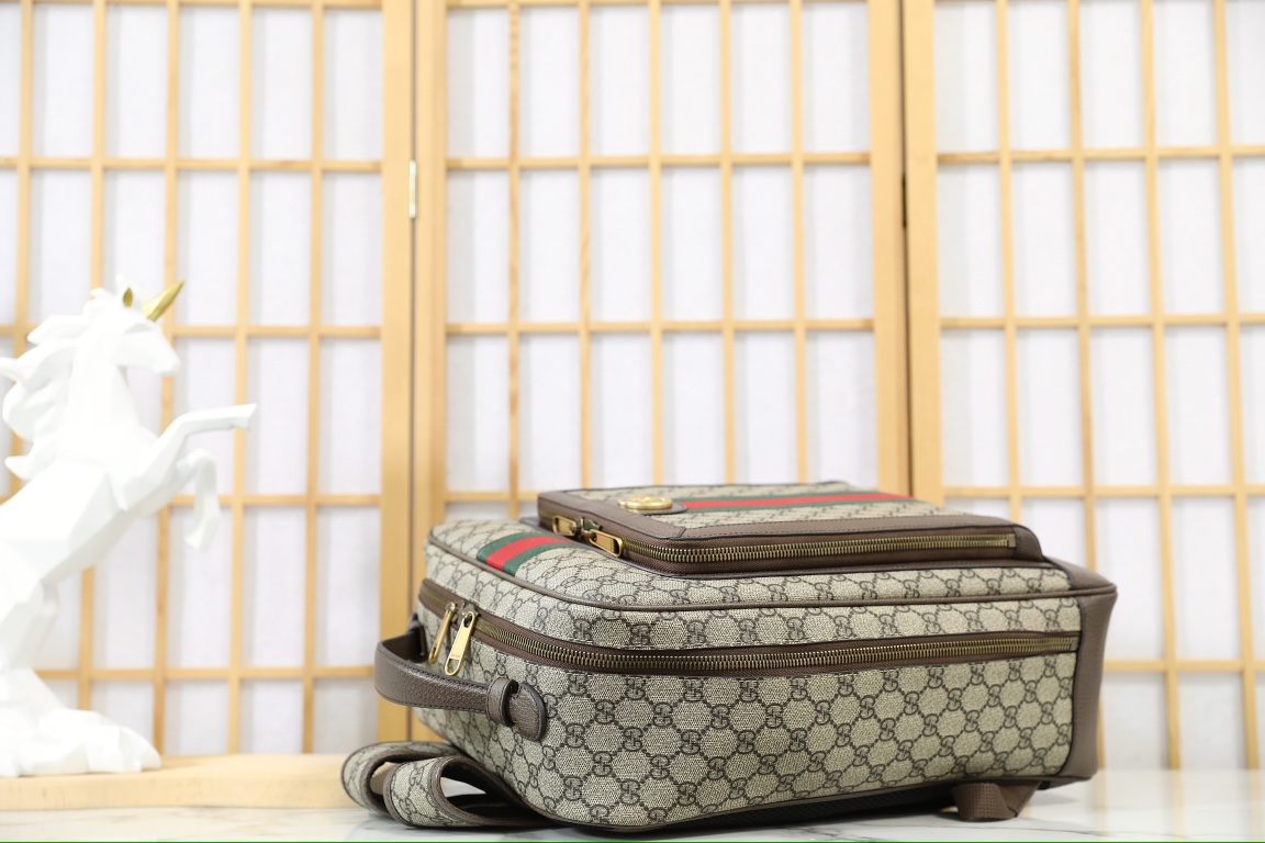 G*u*i ophidia backpack-30*40*14cm