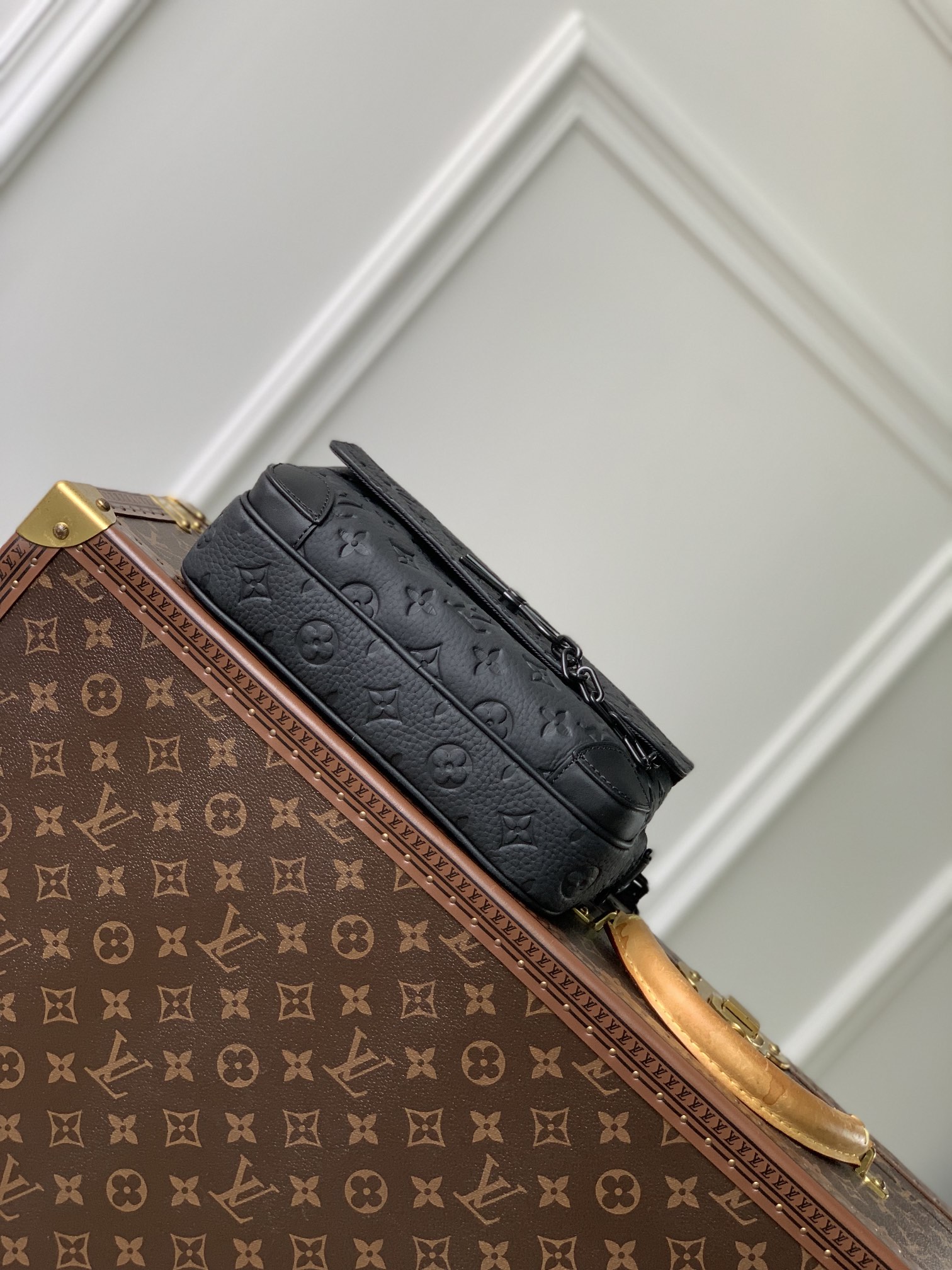 l0*is V*t0nsteamer bag-24*17*5cm
