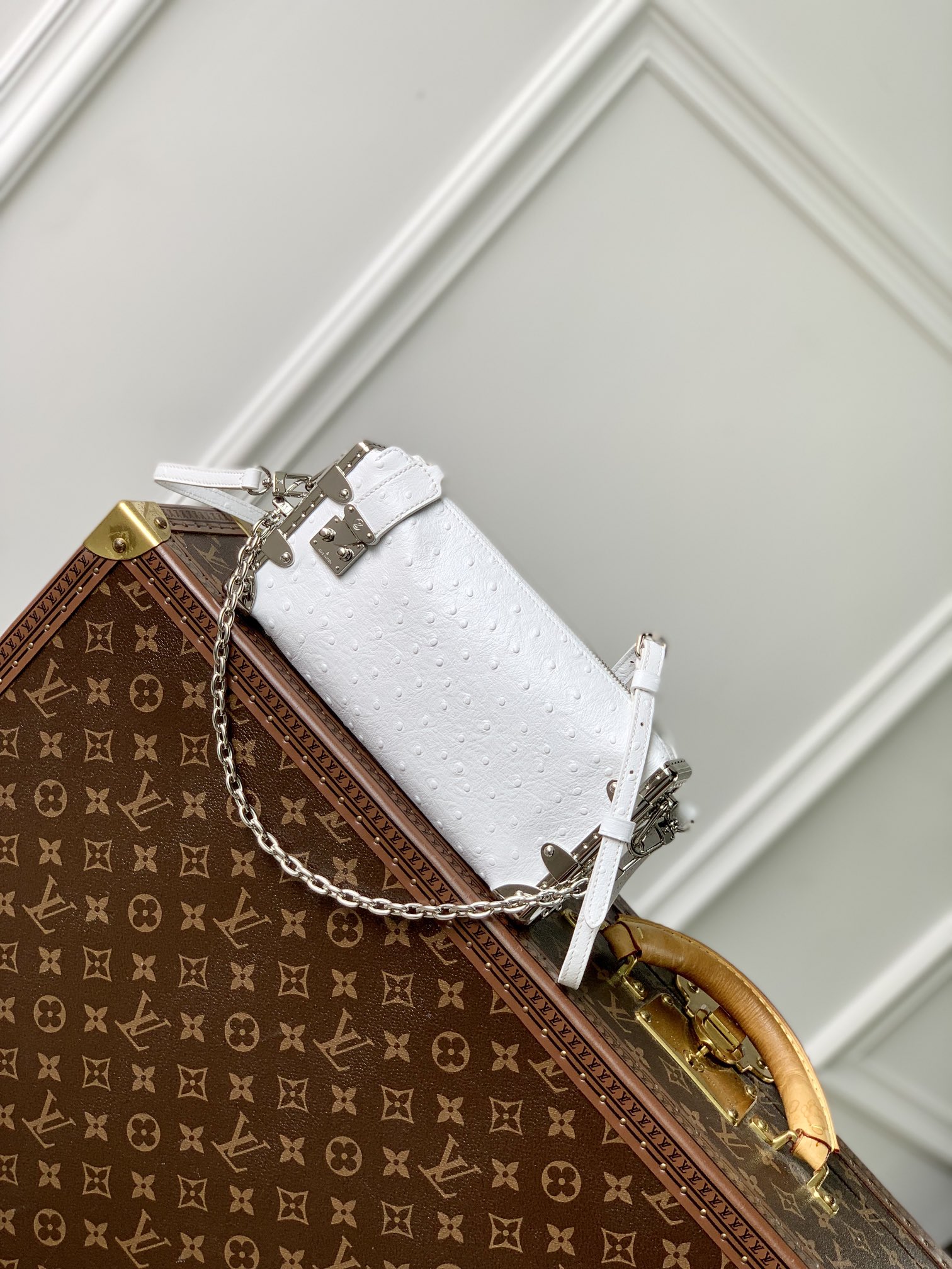 l0*is V*t0n slim trunk--m25445-23 x 12 x 4cm