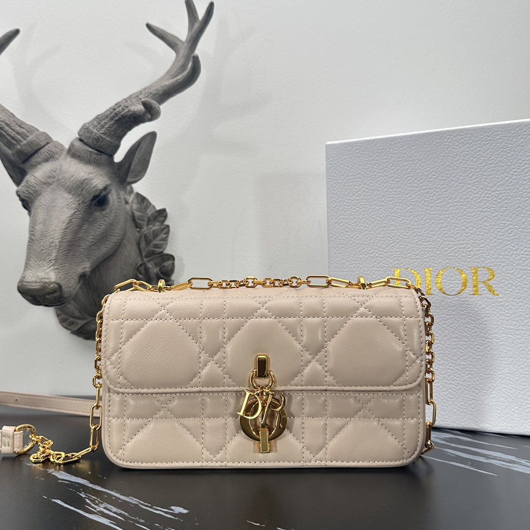 D*or miss daisy bag-22*12.5*4cm